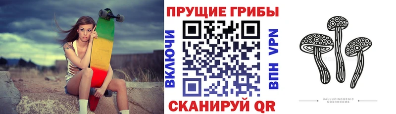 Псилоцибиновые грибы Cubensis Хилок